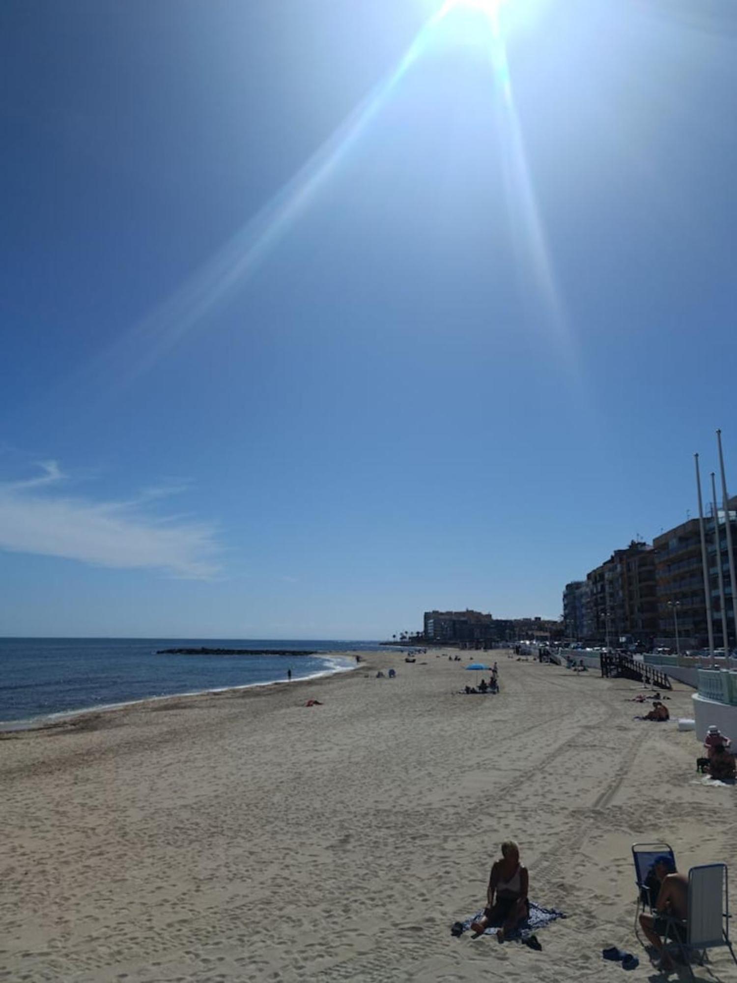 Pmt16 - Large City Apartment On The Beach Торрев'єха Екстер'єр фото