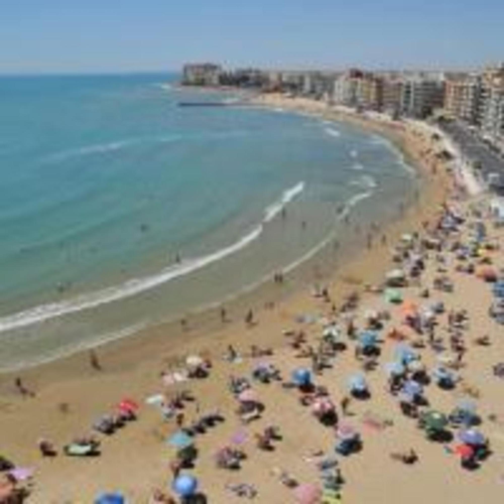 Pmt16 - Large City Apartment On The Beach Торрев'єха Екстер'єр фото