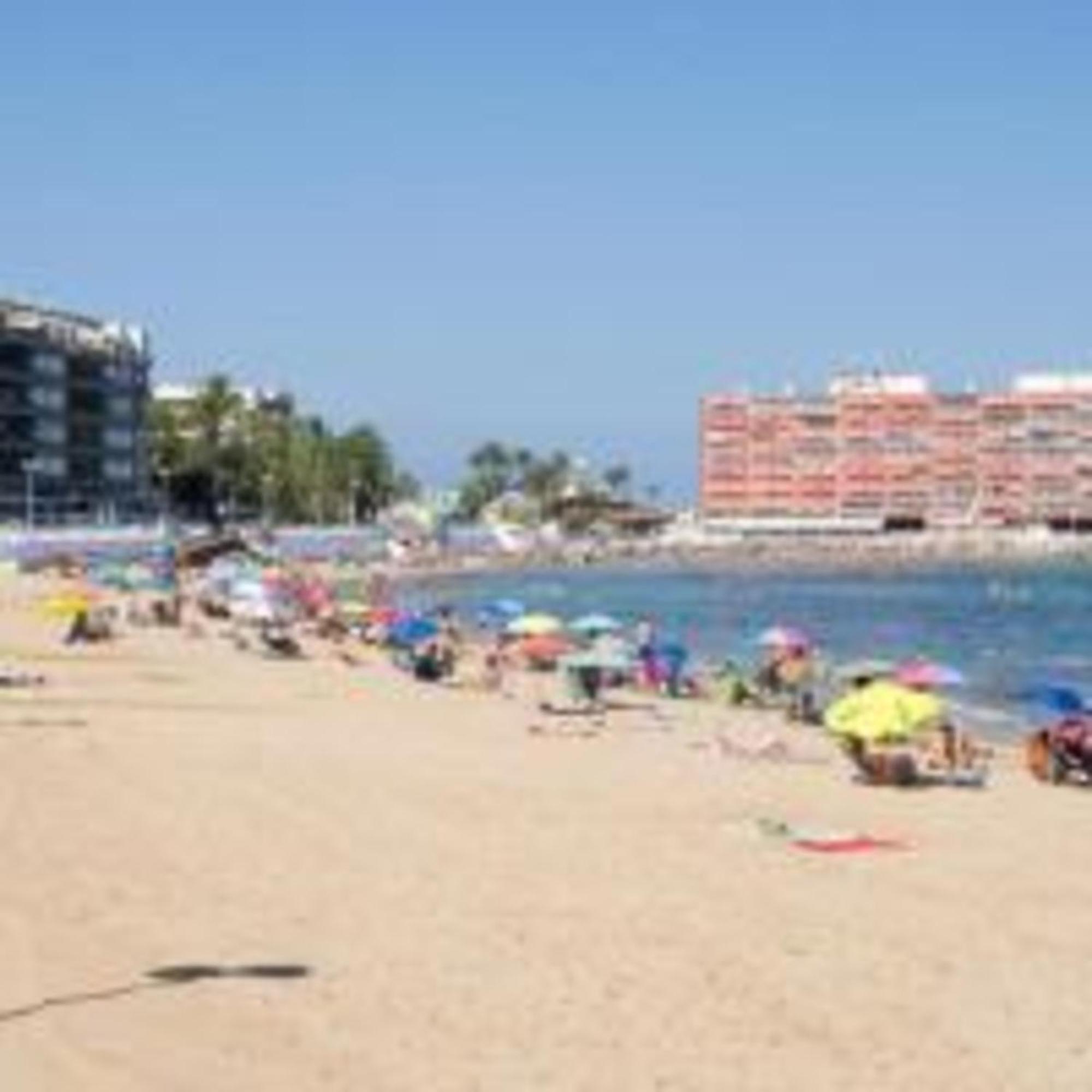 Pmt16 - Large City Apartment On The Beach Торрев'єха Екстер'єр фото